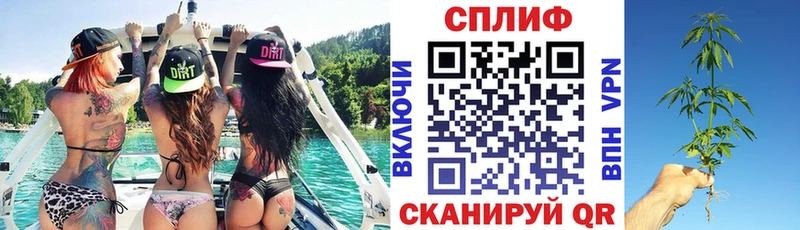 Конопля MAZAR  mega ONION  Кимры  сколько стоит 